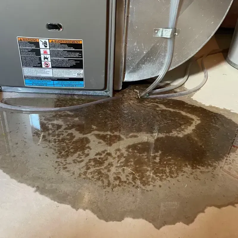 Appliance Leak Cleanup in Ocean Grove, NJ